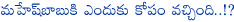 mahesh babu,corporate babu,utv motion pictures,contract,mahesh babu and utv motion pictures banner contract closed,koratala siva,mythri movies